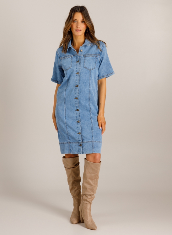 Vicky Dress (Ivy Beau Brand)